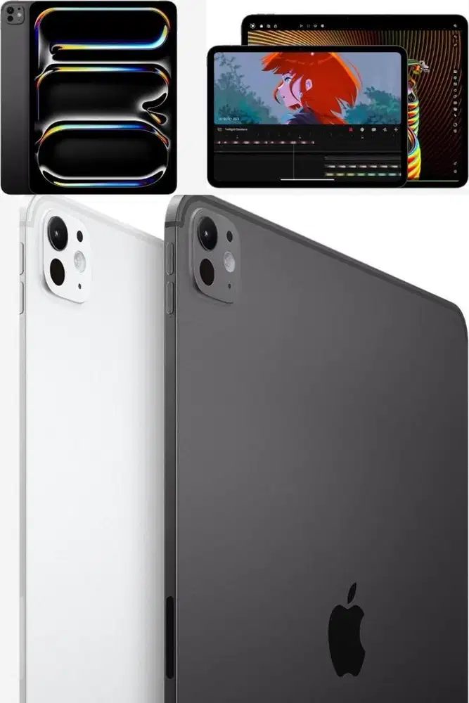 Ipad pro m4 256/512