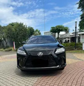 LEXUS RX300 Luxury 2019