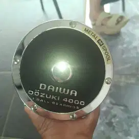 Reel Trolling Daiwa