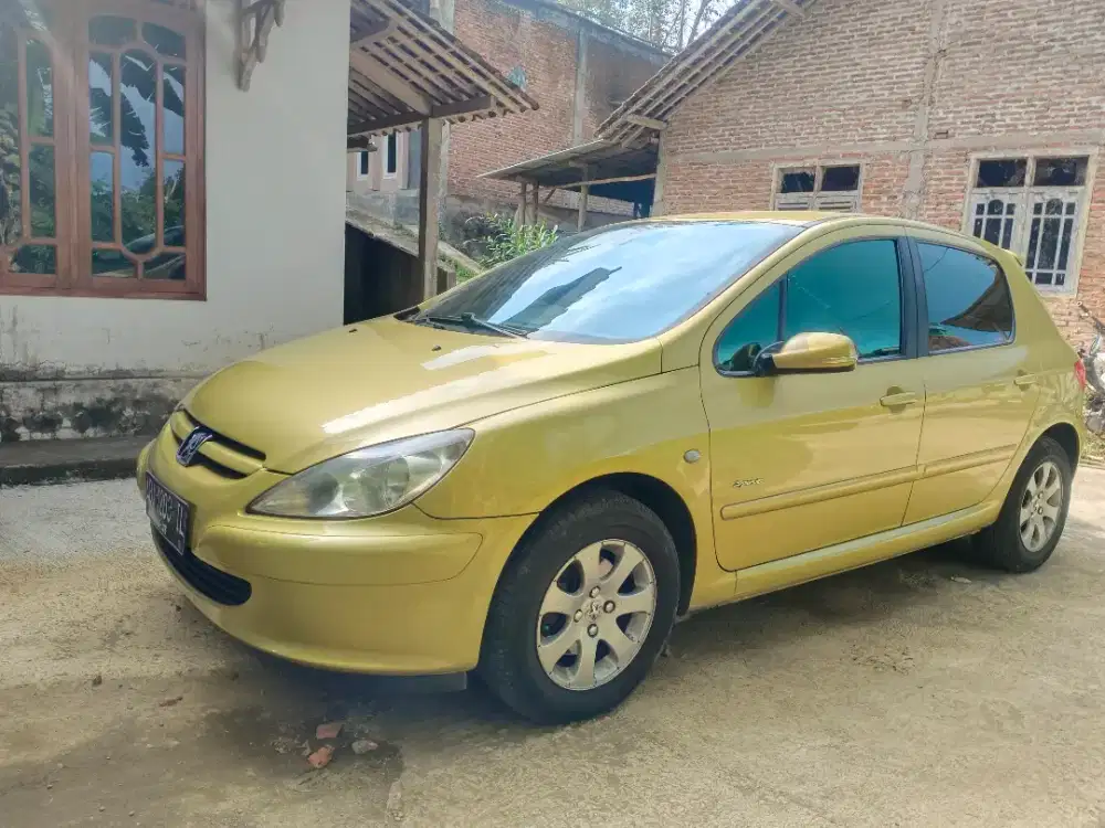 Peugeot 307 AT Sporty Terawat