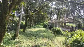 Dijual Tanah di Parung, Bogor - Cocok untuk usaha dan sudah ada bangunan rumah!