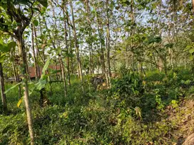 Dijual Tanah Luas Lokasi Dusun Tawangsari Salatiga
