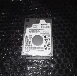 Hardisk 1TB HGST