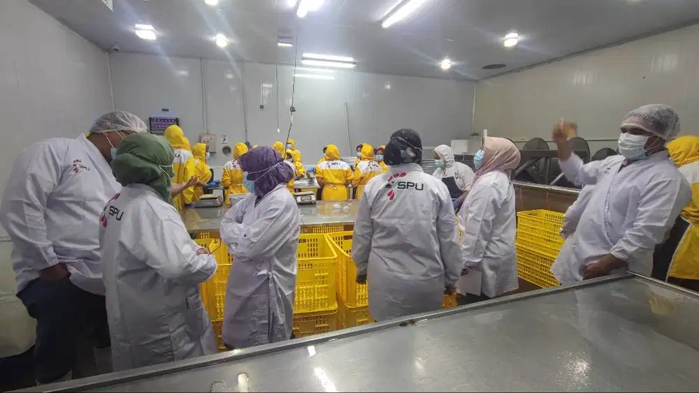di cari kepala butcher untuk potong daging non halal