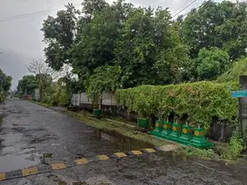 TANAH PINGGIR JALAN ASPAL 200M RINGROAD DEPAN BANDARA