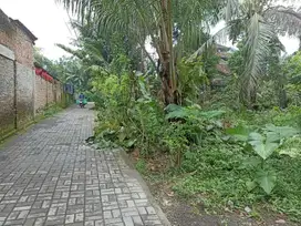 JUAL TANAH DEKAT CANDI BOROBUDUR