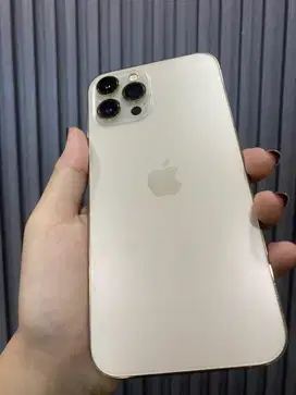 iphone 12 pro max inter