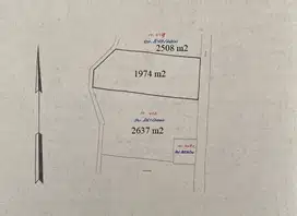 TANAH LUAS COCOK UNTUK PERUMAHAN ELIT DAN WISATA DI MAGUWOHARJO