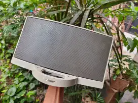 Bose Soundock 1