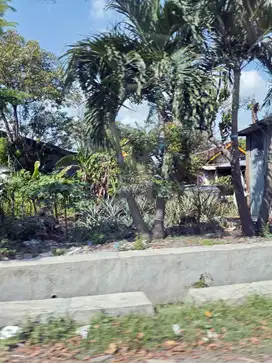 Dijual Tanah Nol Jalan Raya Jeruk Lakarsantri