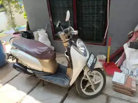 Scoopy 2010 karbu