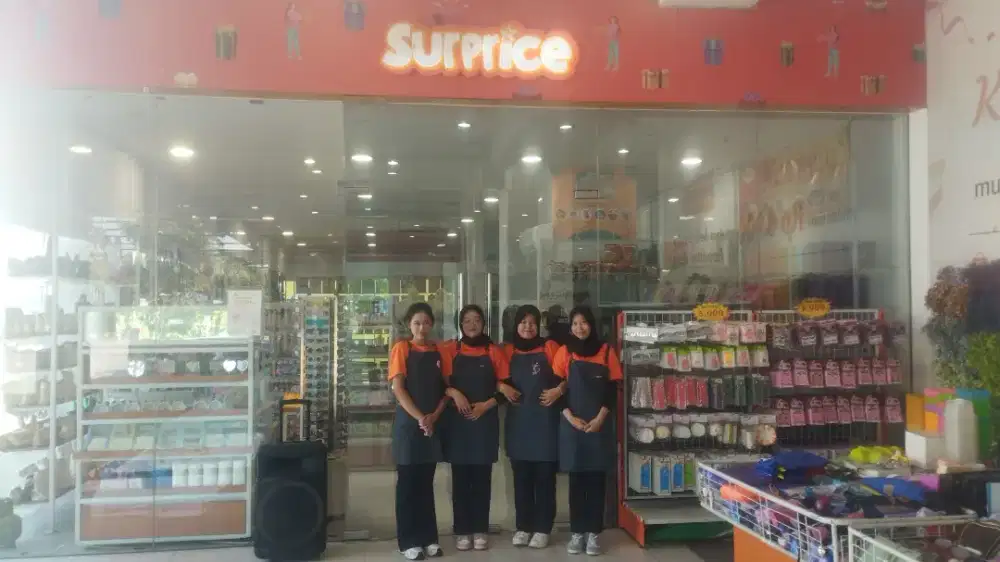 Sales promotion girl