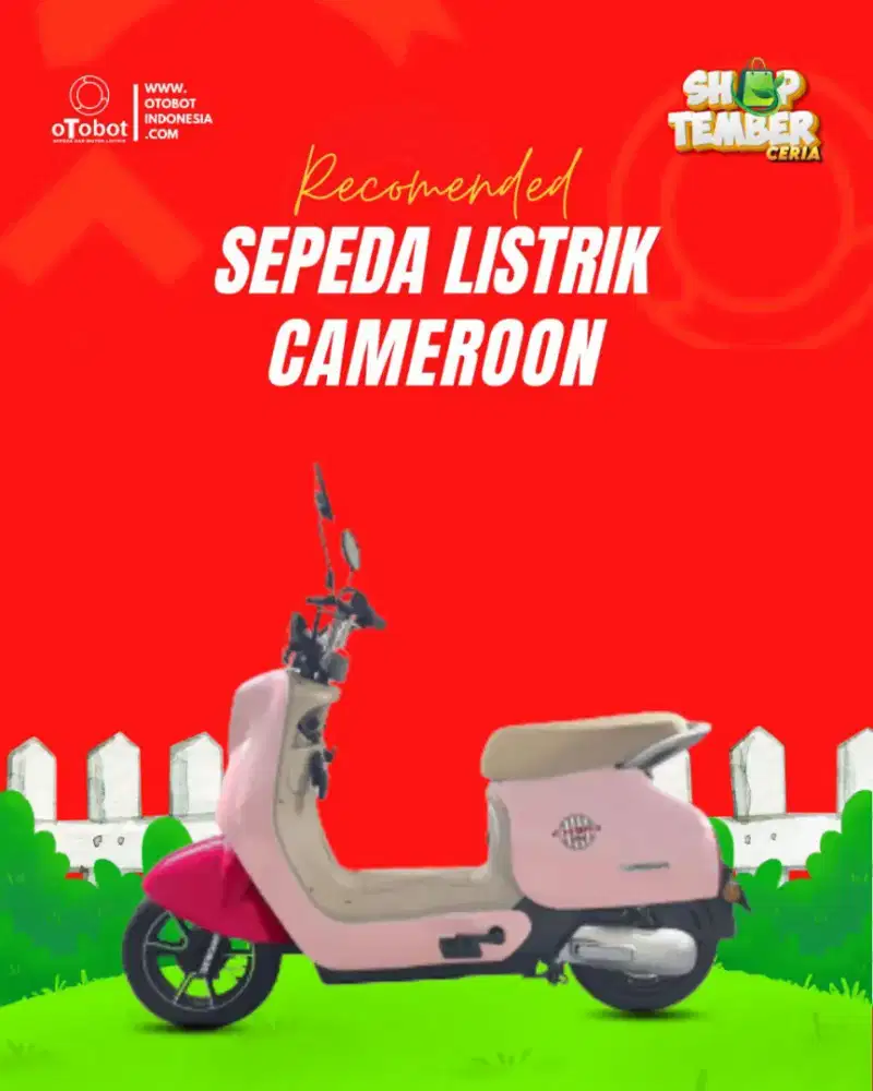 Sepeda listrik uwinfly Cameron