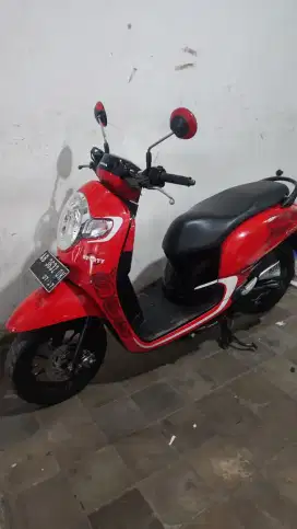 Honda scoopy 2017