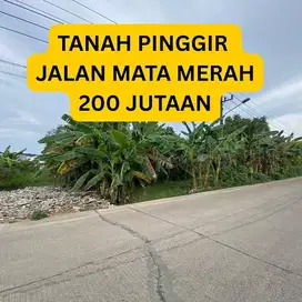 Tanah pinggir jalan taqwa mata