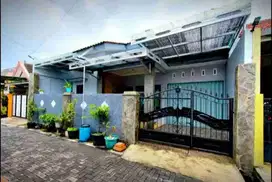 RUMAH DI JL PLAMONGAN ASRI BARAT, PLAMONGAN HIJAU PEDURUNGAN SEMARANG