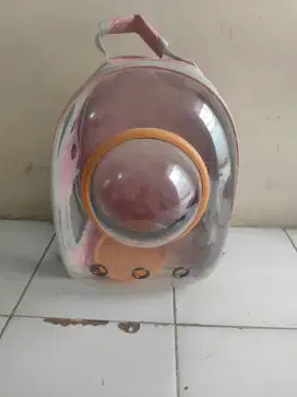 Tas astronot kucing