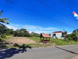 Tanah Jambon Trihanggo Dalam Ringroad Jogja