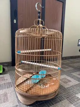 Sangkar burung kicau