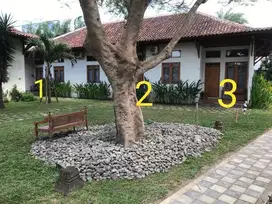 Di Sewakan Home Stay Villa Asri Dekat Malioboro