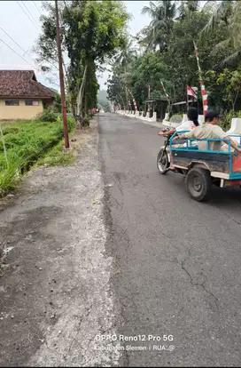 Sawah minggir sleman