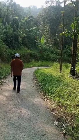 Jual tanah murah LT 2000m², girik, akses jalan desa