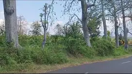 Tanah kebun di 0 Jl Ngembal Tutur dekat Wisata Bhakti Ala.
