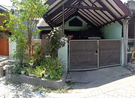 Dijual Rumah Terawat Harga Nego di Taman Pinang Indah Sidoarjo