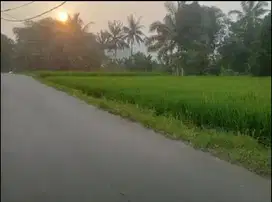 Jual tanah murah LT 1497m², shm,  nempel jln kabupaten