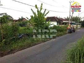 Dijual Tanah dekat pantai Blimbingsari Banyuwangi