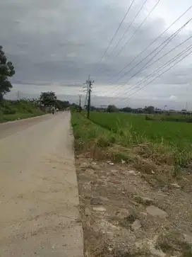 Tanah Industri Muara Bakti Babelan 5 Ha Rp.1,2 jt/m SHM