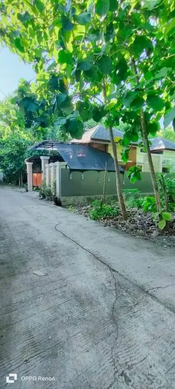 tanah murah 7are lokasi kutuh pandawa