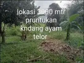 Jual tanah murah LT 3000m², akses masuk mbl