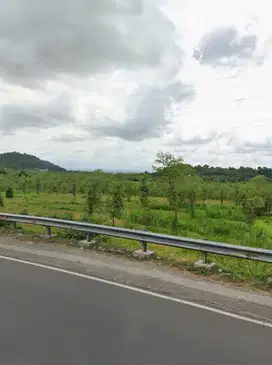 Tanah murah pinggir jalan raya utama pariwisata Mandalika Lombok