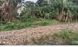 Lahan murah di cidahu kopo kab serang