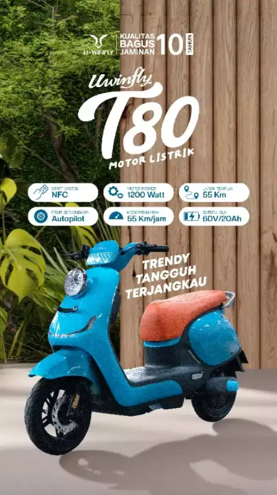 Sepede Listrik Uwinfly T80 BARU