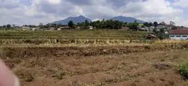 dijual tanah kebun dekat jalan utama gunung Puntang masuk mobil