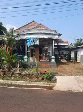Rumah plus kebun durian luas murah