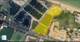 Tanah Jual Margosuko Bancar Tuban Jawa Timur