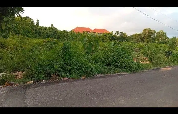 tanah murah lokasi kutuh pandawa