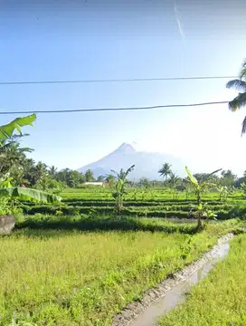 Tanah Murah SHM  View Gunung Merapi