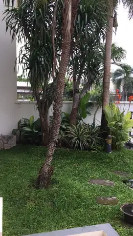 Disewakan Rumah Villa Sentra Raya Citraland Surabaya