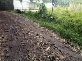 Jual tanah murah LT 800m², ajb,  nempel jln desa