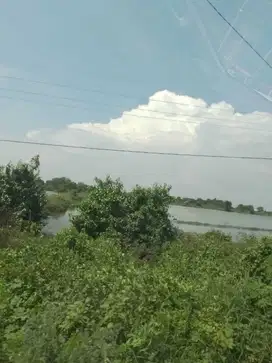 Tambak Tlocor Jabon dekat Maspion