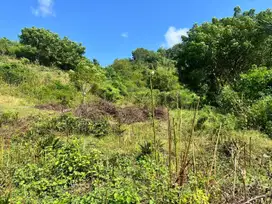 Tanah murah dekat pantai Awang Mandalika Lombok. Cocok untuk villa