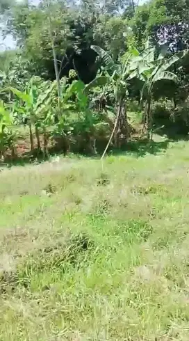 Jual tanah murah LT 1000m², girik, akses motor