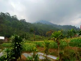 Jual cepat BU tanah 2 menitan taman Bougenville gunung Puntang