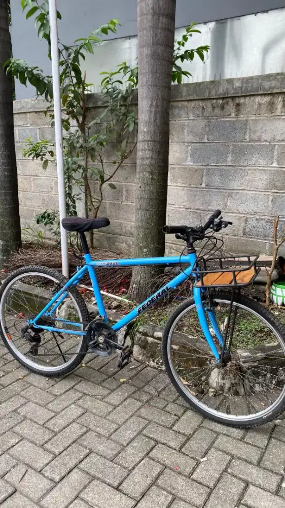 Federal Commuter  bike