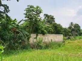 DIJUAL TANAH LUAS HARGA MURAH BISA NEGO SAMPAI JADI DI DEPOK PANCORAN