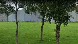 Lokasi PALING DEPAN Pakuwon City SAN DIEGO Harga NEGO Siap Bangun